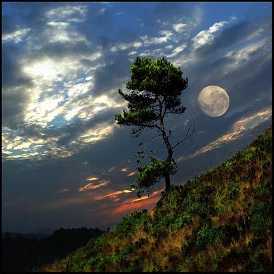 صور للقمر في ليلة التمام-صور الطبيعة-منتهى