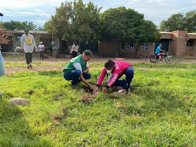 hoyennoticia.com, "Coprpoguajira sembró 40 mil árboles"