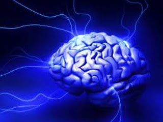Ternyata Manusia Hanya Menggunakan 10% Kemampuan Otaknya