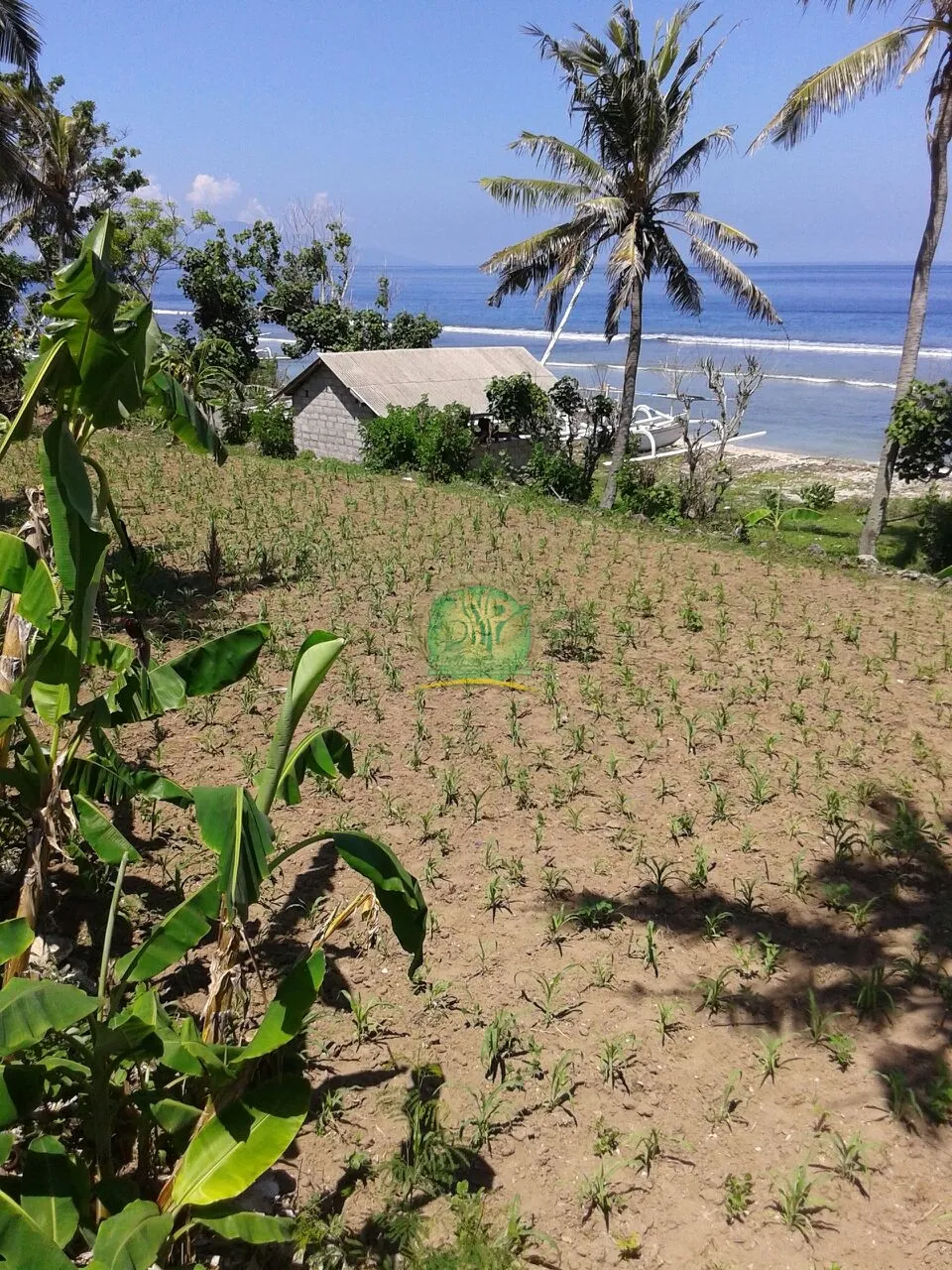 tanah murah nusa penida pinggir jalan utama dan fullview sudah ada izin bangunan