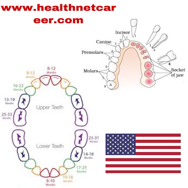 What are the first signs of teething?