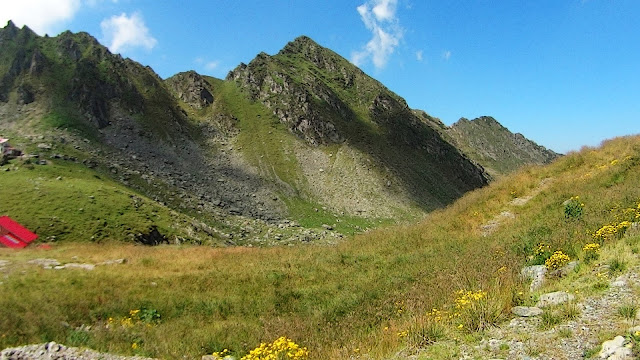 Fogarasze, sierpień 2014.