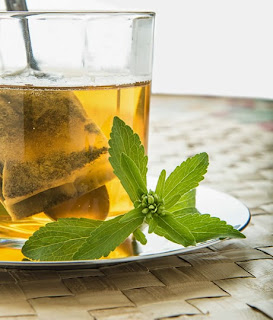 Stevia Casera ¿Cómo obtener edulcorante líquido de stevia?