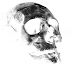 Skull Stencil Tattoo Design #1