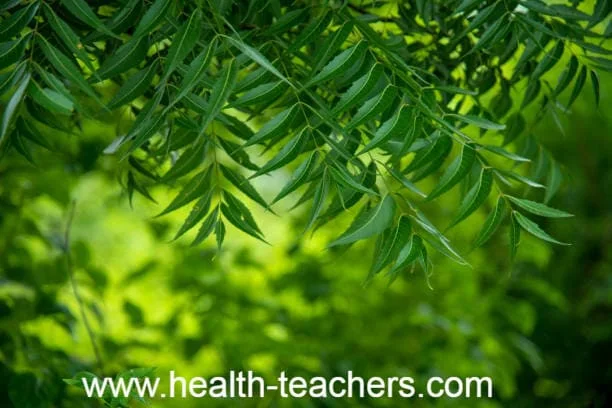 Treatment of diseases in rainy season - Health-Teachers