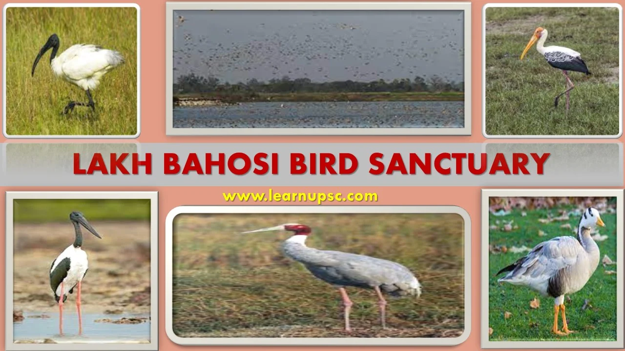 Lakh Bahosi Bird Sanctuary