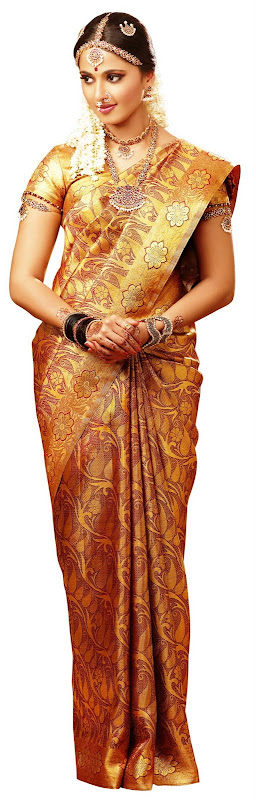 Anuska in Chennai silks ad photos cleavage