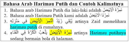 Bahasa Arab Harimau Putih dan Contoh Kalimatnya