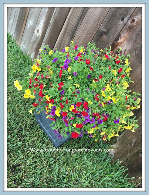 Front -Yard -Garden-Hanging-Basket-Project-From My Front Porch To Yours