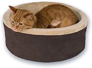 The Best Cat Beds