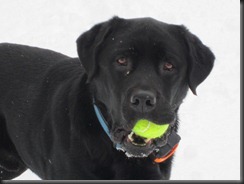 snow fun 2-2012 049