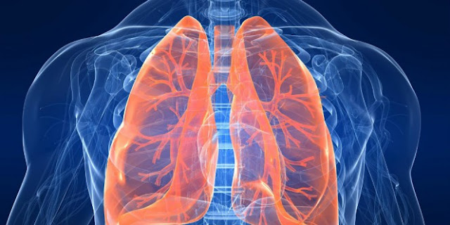 http://akardaun2015.blogspot.com/2015/11/cara-ampuh-bersihkan-paru-paru-dalam.html