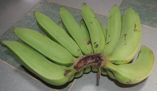 Image result for pisang nangka