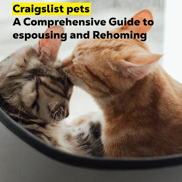  Craigslist pets A Comprehensive Guide to espousing and Rehoming