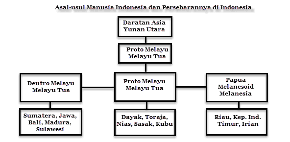 asal usul bangsa indonesia