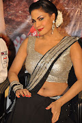 Veena Malik Hot Photos (veena malik latest hot photos )