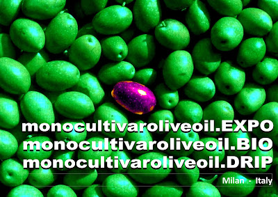 http://www.monocultivaroliveoil.com/concorsi/