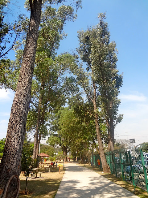 Bosque Maia em Guarulhos