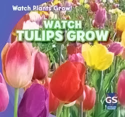 bookcover of WATCH TULIPS GROWS  (Watch Plants Grow!)  by Kristen Rajczak