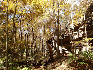 Fall colors Garden of the Gods Wilderness