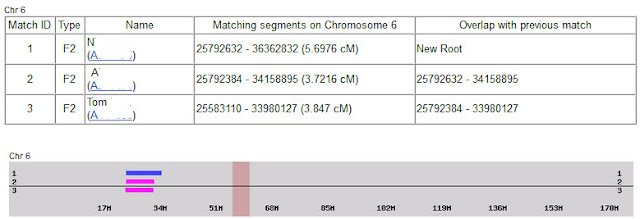 small DNA segments