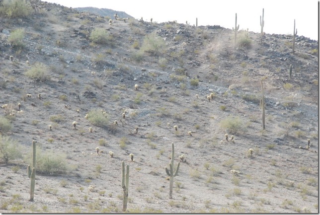 11-27-12 C Travel on I-10 023