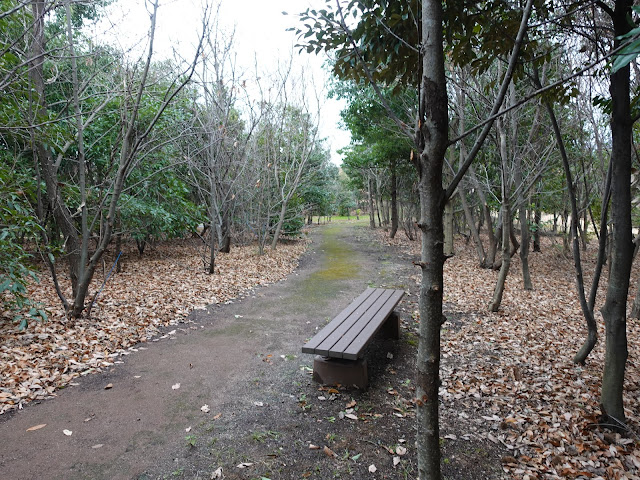 むきばんだ史跡公園　木の実の森遊歩道