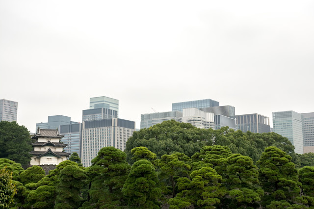 cestování po světě, blog, japonsko, tokyo, tokio, imperial palace, královský palác