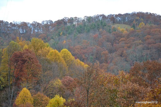 fall colors