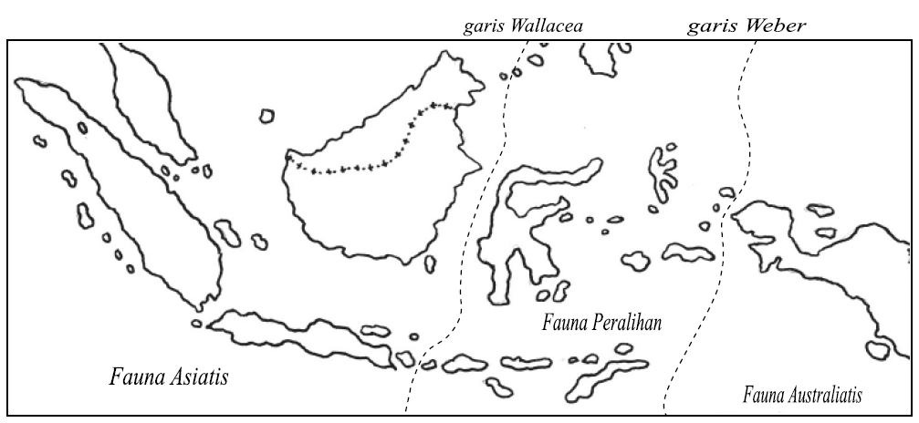 Persebaran Flora dan Fauna Di Indonesia Ilmu Pengetahuan