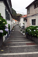 Street with floral planters