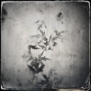 ghost, leaves, stains, photography, fall, ephemeral, temporary, progressive moments, art , walking