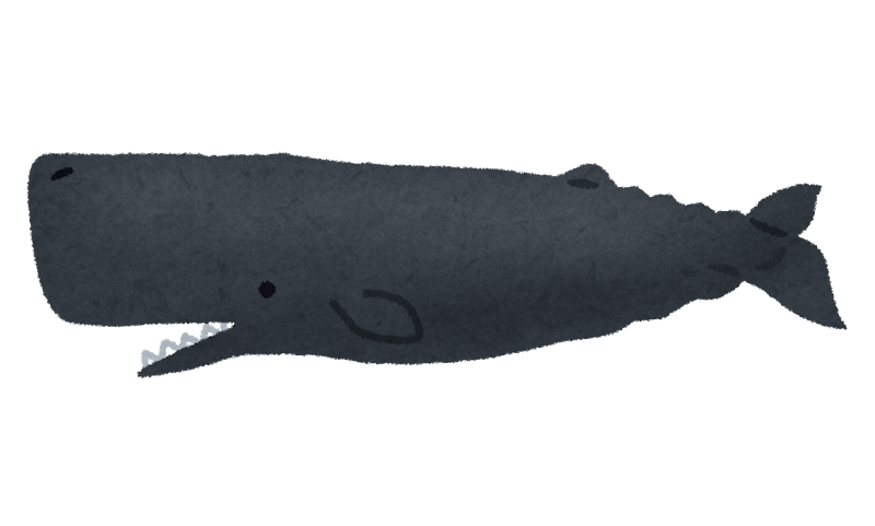 マッコウクジラのイラスト 鯨 かわいいフリー素材集 いらすとや マッコウクジラのイラスト 鯨 かわいいフリー素材集 いらすとや