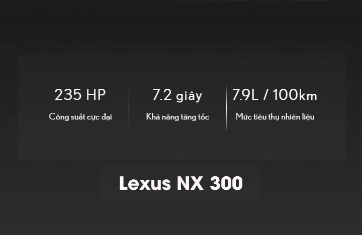 Thông số tổng quan Lexus NX 300