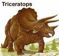 Трицератопс Triceratops!!!