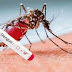 1 die of dengue, 19 new cases