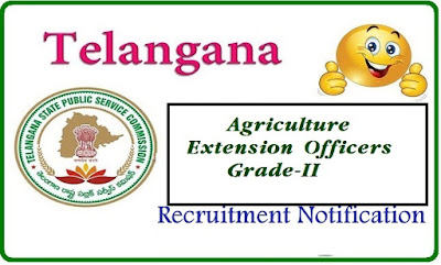 TSPSC Telangana Public Service Commission-TSPSC  Notification No 19/2015 Dt 30/12/2015 Agriculture Extension Officers Grade-II Department of Agricultural Subordinate Service | Recruitment Notification for Agriculture Extension Officers in Agriculture Department of Telangana State by Telangana Public Service Commission tspsc-agriculture-extension-officers-recruitment-notification-in-telangana