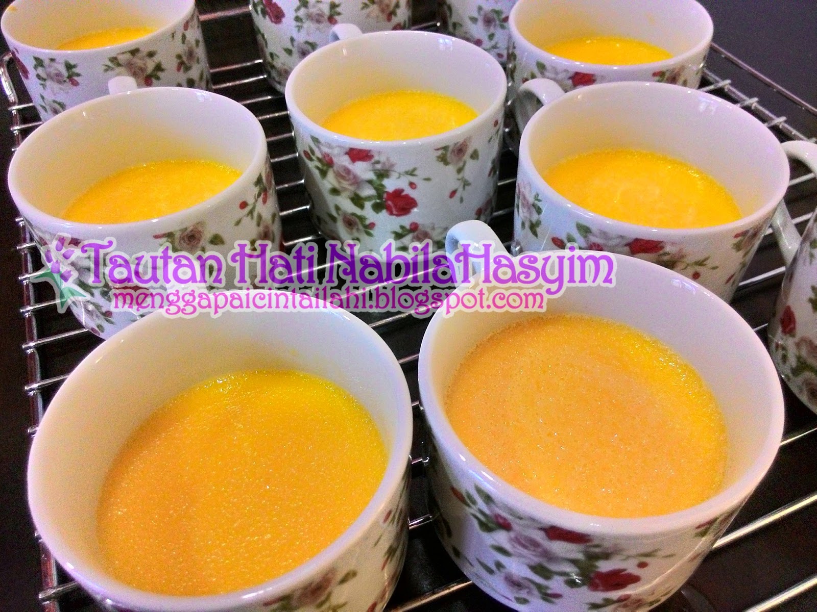 Tautan Hati NabilaHasyim: RESEPI : Krim Brulee