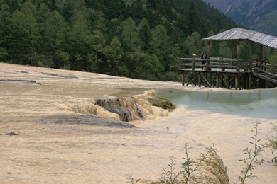 Rhododendron Pond, Huanglong, China, 2009 (4813)