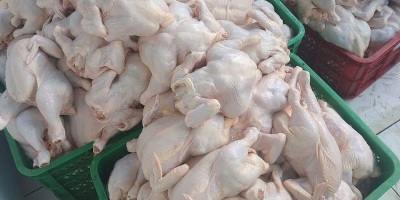 The Risk of Consuming Meat Contaminated with Antibiotics