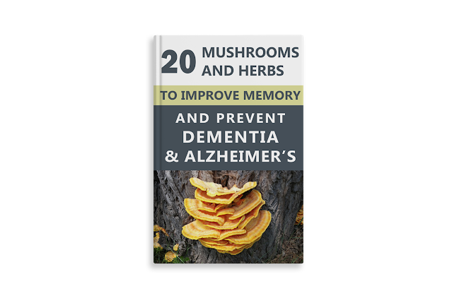 20 Mushrooms and Herbs to Improve Memory and Prevent Dementia