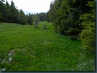 DSCN1574