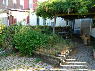 Palmerston Little Italy Toronto Back Yard Garden Cleanup before by Paul Jung Gardening Services