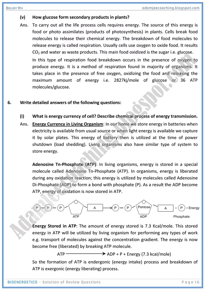 bioenergetics-review-question-answers-biology-9th