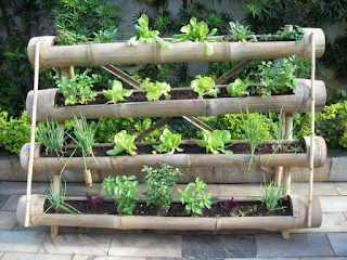 (“Home Vegetable Gardens - Google Search”)