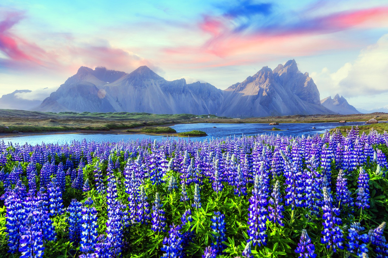 Iceland is reopening to tourists from June 15, and every arrival will get a free COVID-19 test