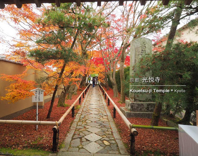 [京都] 光悦寺：参道の紅葉