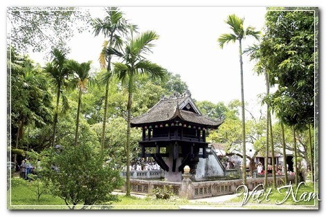 Hoa Sen, Việt Nam