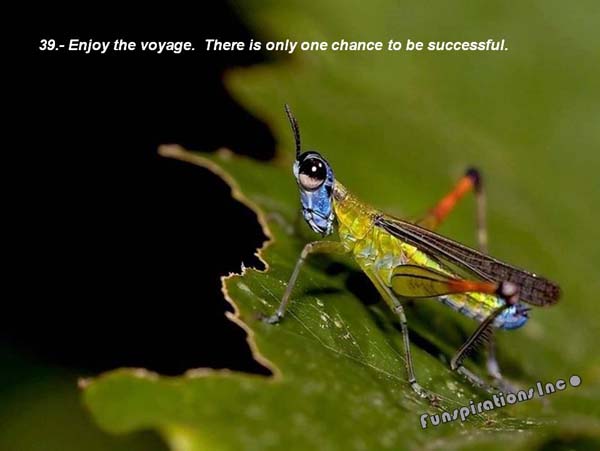Enjoy the voyage. There is only one chance to be successful.