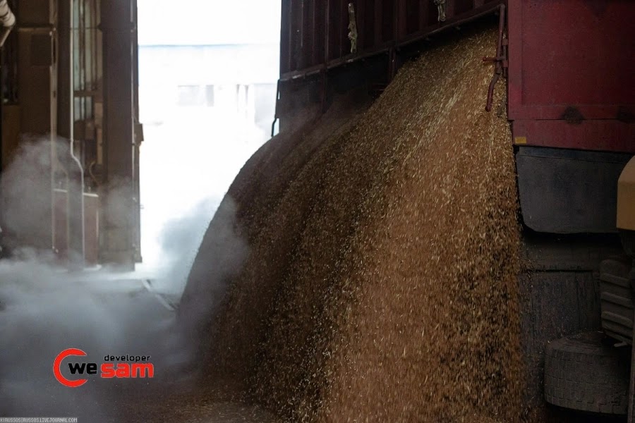  كيف يتم تخزين الحبوب في روسيا